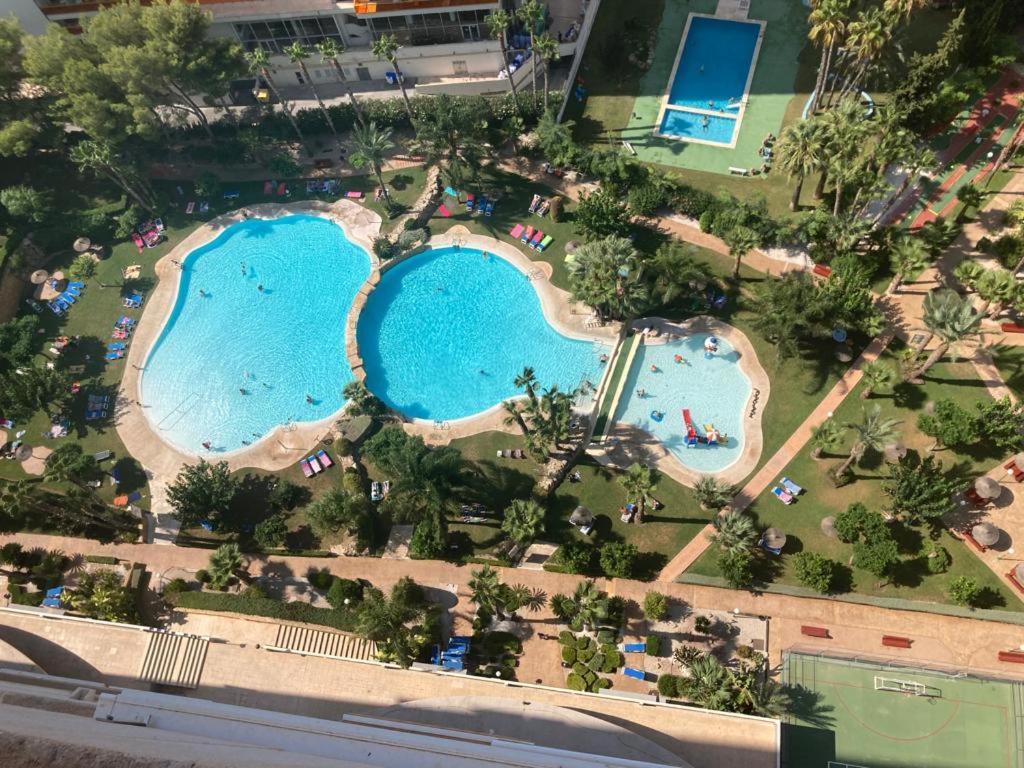 Apartament Rascacielo Bonito Mirando Al Mar Benidorm Zewnętrze zdjęcie
